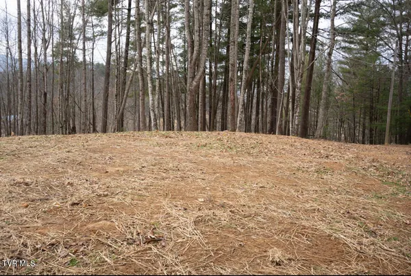 $379,900 | 256 William Hawkins Lane, Mountain City, TN 37683