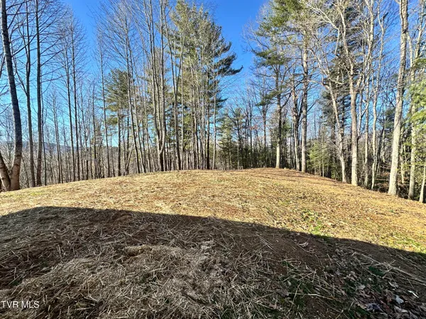 $379,900 | 256 William Hawkins Lane, Mountain City, TN 37683