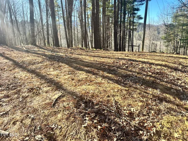 $379,900 | 256 William Hawkins Lane, Mountain City, TN 37683