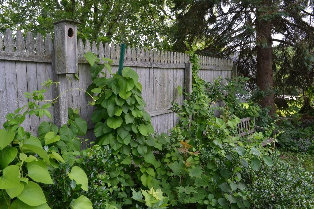 150 Colonial Road Portland, ME 04102 - Photo 8 of 12 Photo