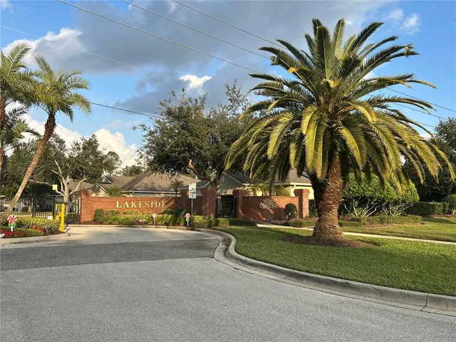 a view of a park with palm trees