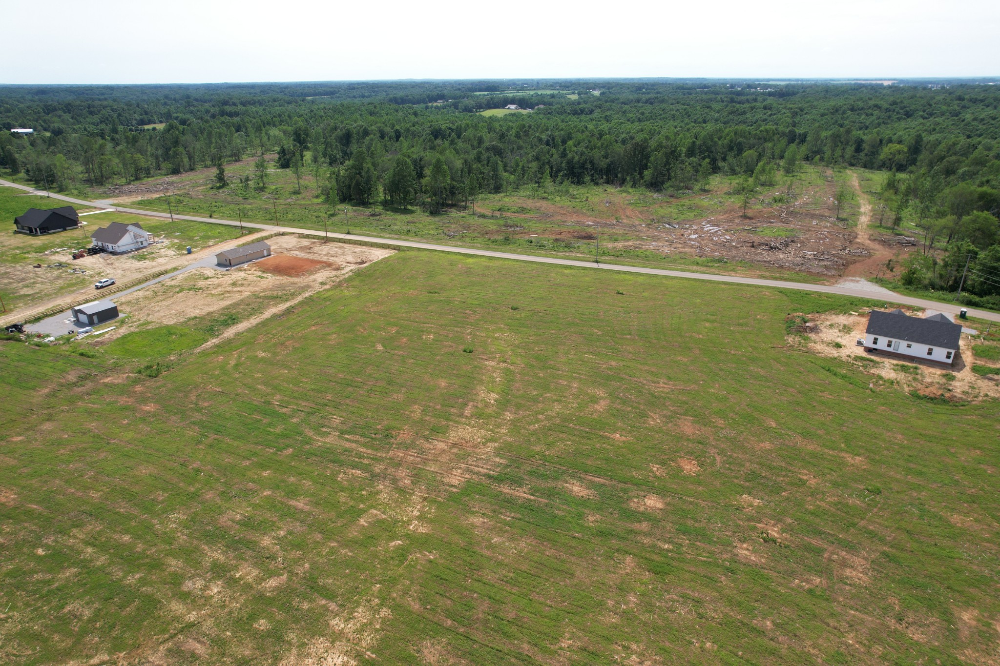 2 Beartown Road Loretto, TN 38469 - Photo 7 of 9 a view of a field with plants and large trees