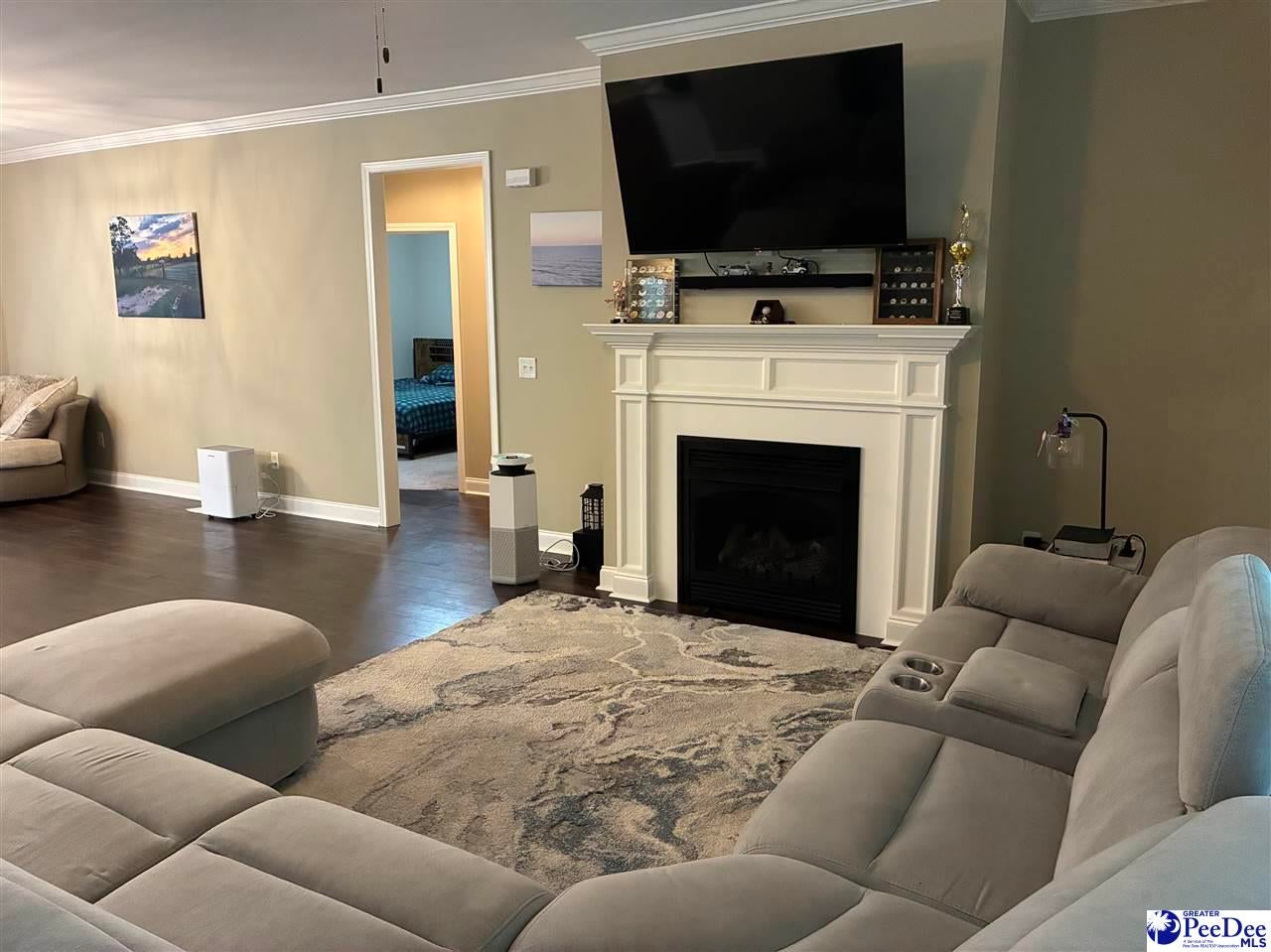 3325 James Turner Road Effingham, SC 29541 - Photo 3 of 35 Gallery Image 3