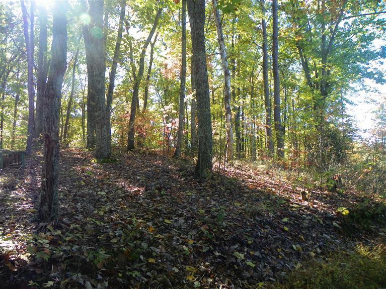 1 Knob Hill Road Somerset, KY 42501 - Photo 3 of 6 Additional Photo