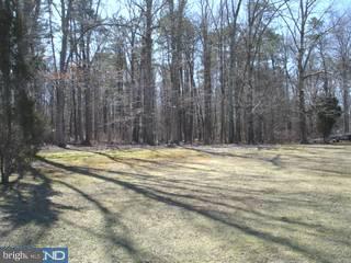 348 Weymouth Road Buena, NJ 08310 - Photo 4 of 6