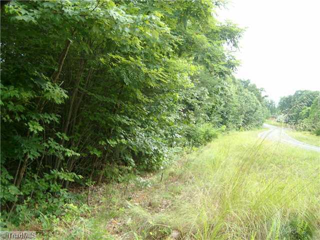 3 Doug Stanley Road Sandy Ridge, NC 27046 - Photo 3 of 4 Land.