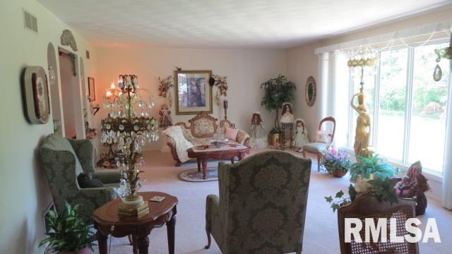 1456 Lourdes Road Metamora, IL 61548 - Photo 32 of 35