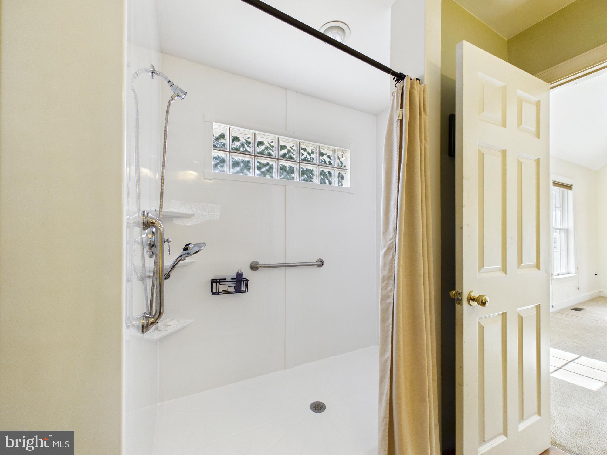 24764 Pealiquor Road Denton, MD 21629 - Photo 20 of 69 Primary bathroom