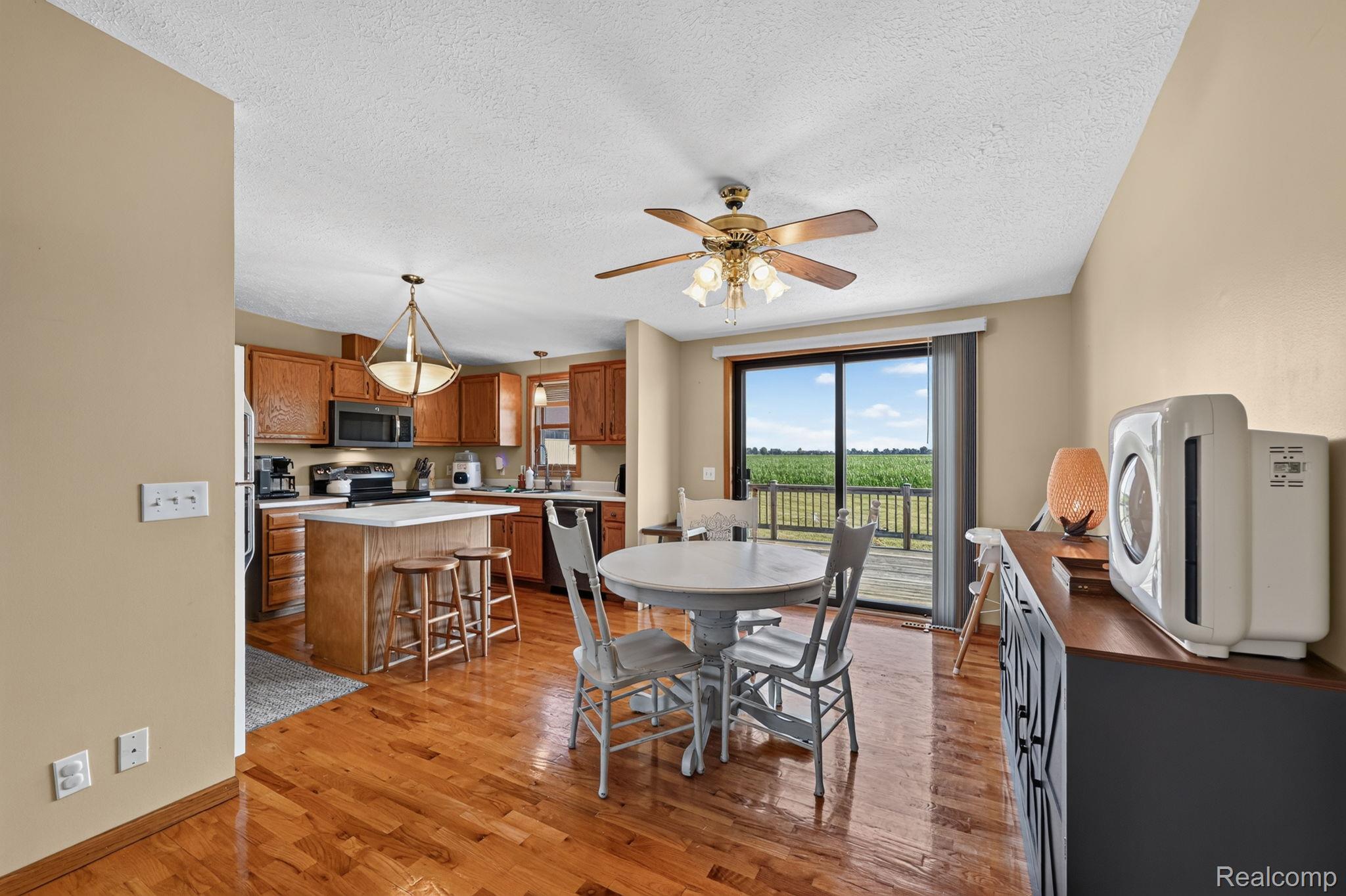 9889 Ditch Road Chesaning, MI 48616 - Photo 14 of 71 14-web-or-mls-DSC_8783.jpg