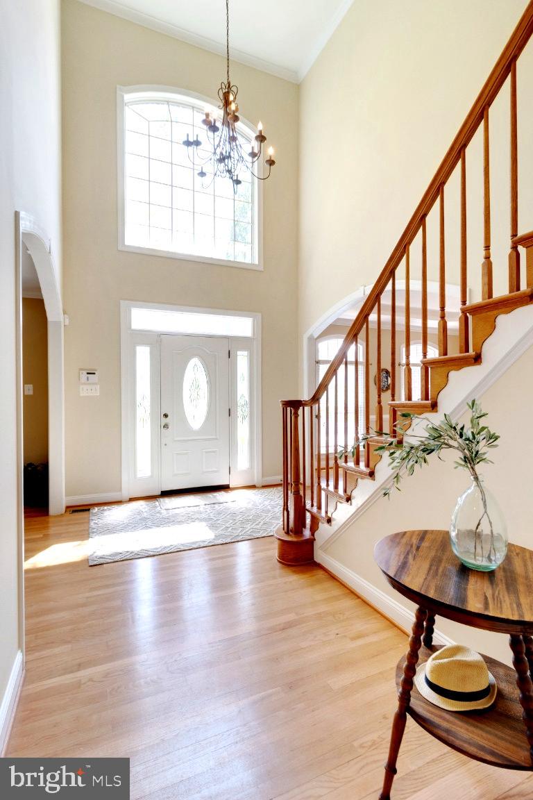1602 Rabbit Foot Clover Court Annapolis, MD 21401 - Photo 15 of 59 Soaring 2-Story Foyer