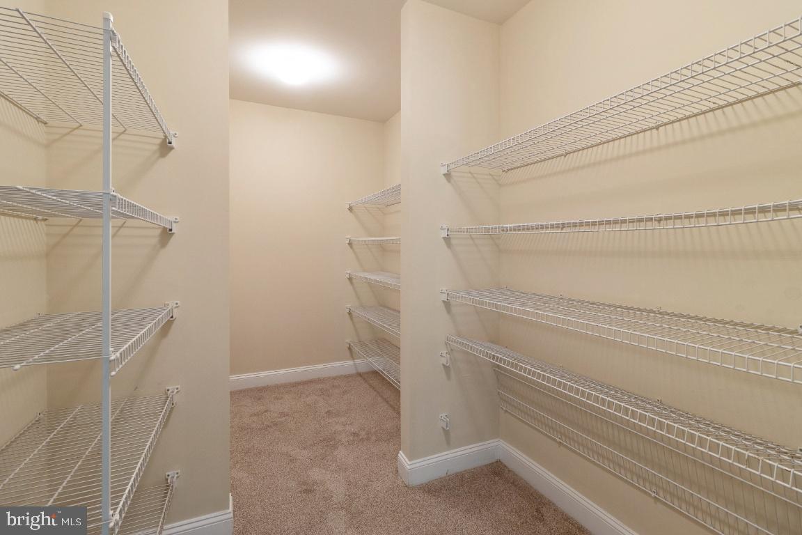 1602 Rabbit Foot Clover Court Annapolis, MD 21401 - Photo 54 of 59 Mega Lower Level Storage Options