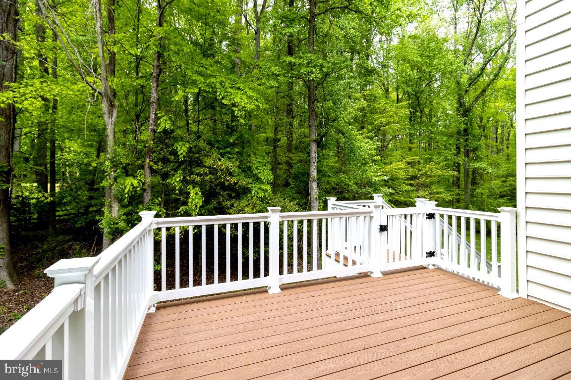 1602 Rabbit Foot Clover Court Annapolis, MD 21401 - Photo 6 of 59 Alfresco Dining & Entertaining Deck
