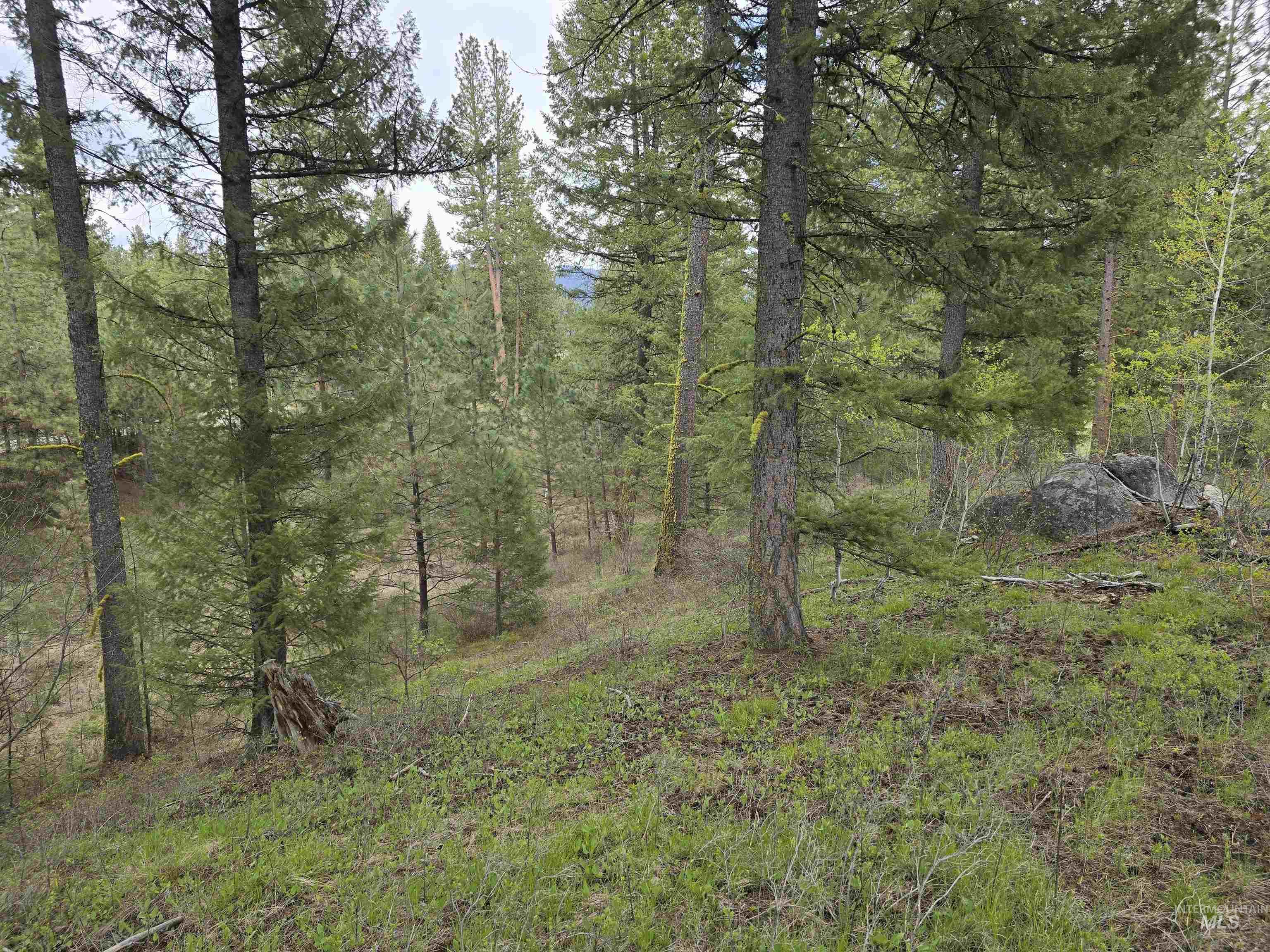 L3-b2 Rehn Loop Cascade, ID 83611 - Photo 2 of 2