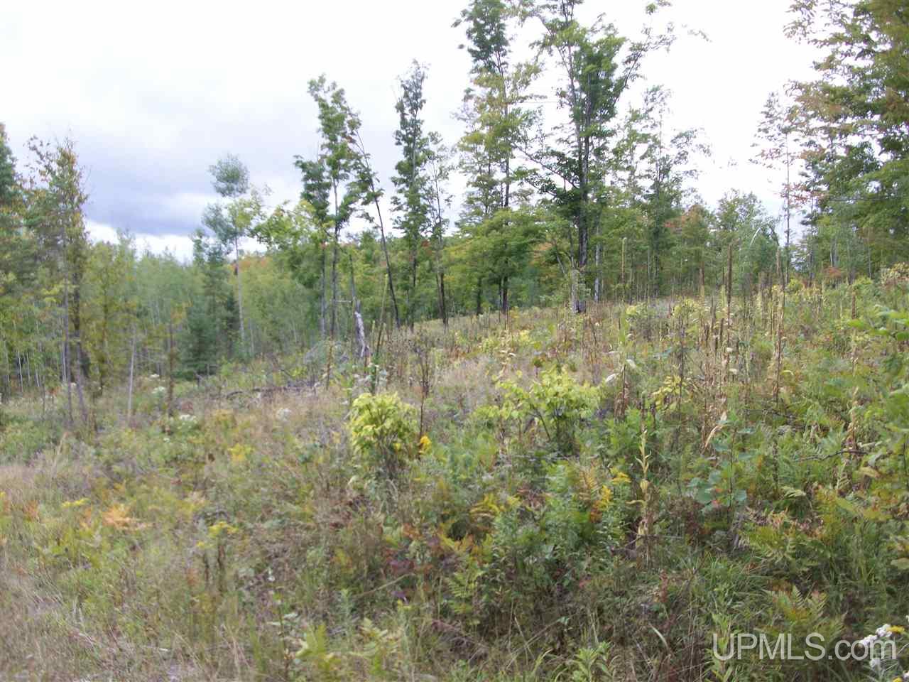 Tbd Fordville Road Foster City, MI 49807 - Photo 6 of 18