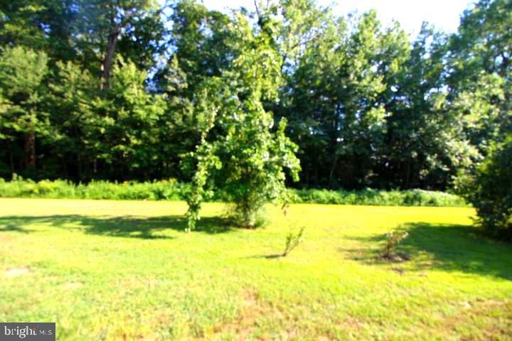2196 Ingram Branch Road Harrington, DE 19952 - Photo 30 of 39 Gallery Image 30
