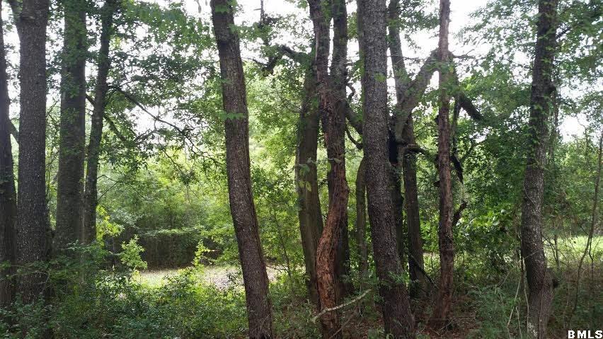 18 Leo Green Road Beaufort, SC 29906 - Photo 1 of 10 Primary Photo