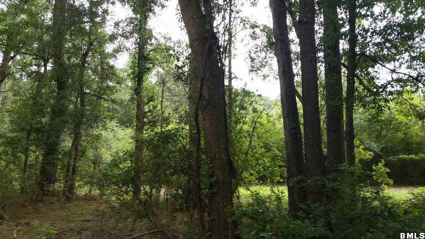 18 Leo Green Road Beaufort, SC 29906 - Photo 3 of 10 Additional Photo