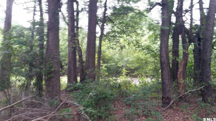 18 Leo Green Road Beaufort, SC 29906 - Photo 4 of 10 Additional Photo