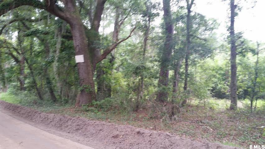 18 Leo Green Road Beaufort, SC 29906 - Photo 5 of 10 Additional Photo