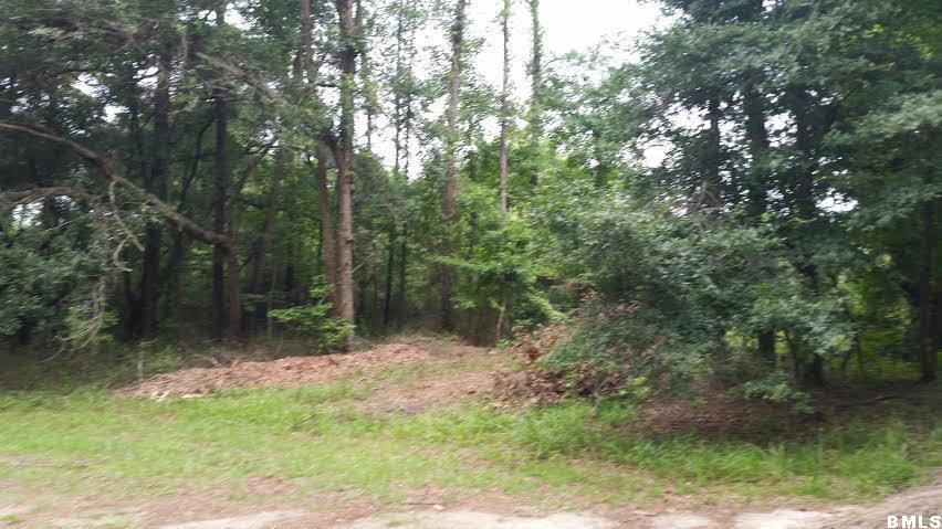 18 Leo Green Road Beaufort, SC 29906 - Photo 10 of 10 Additional Photo