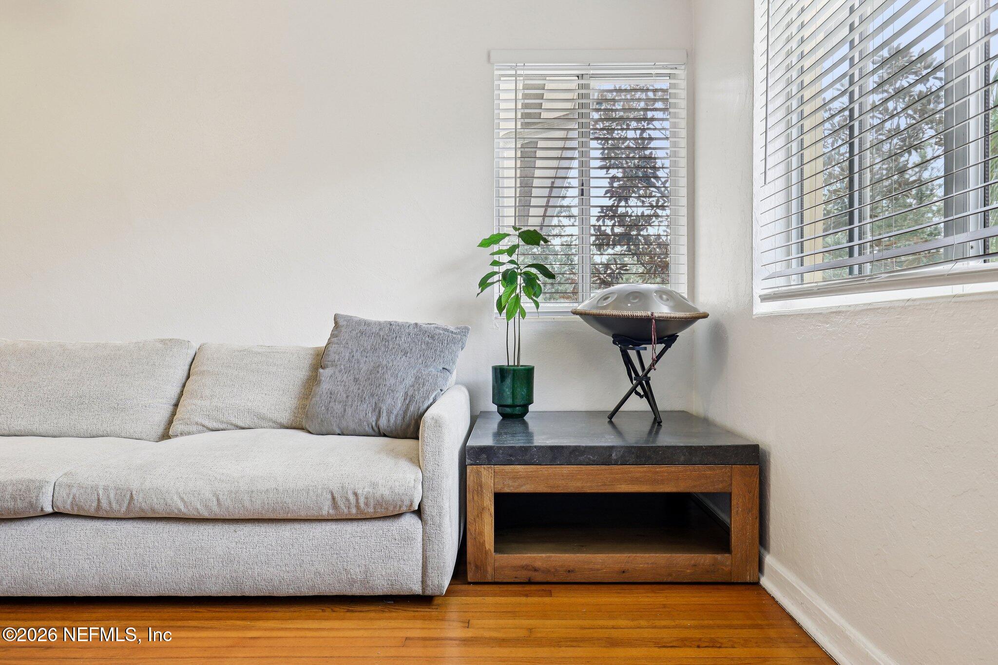 2159 Riverside Avenue, Unit 4 Jacksonville, FL 32204 - Photo 10 of 50 a living room with furniture and a potted plant