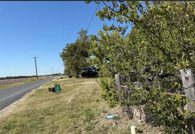 a view of a yard with trees