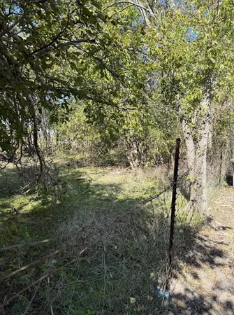 a view of a tree