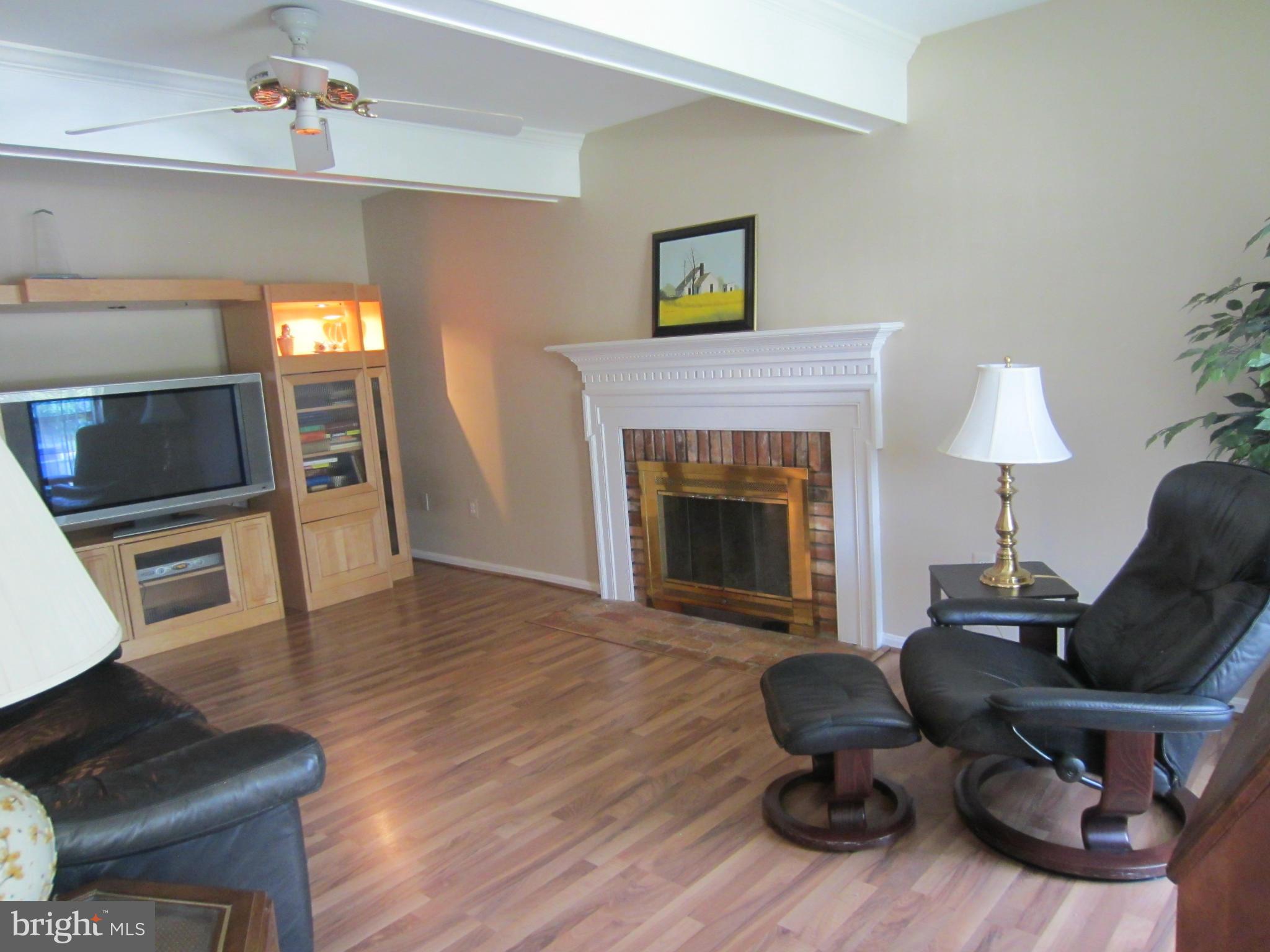 14316 Twig Road Silver Spring, MD 20905 - Photo 7 of 29 a living room with furniture and a fireplace