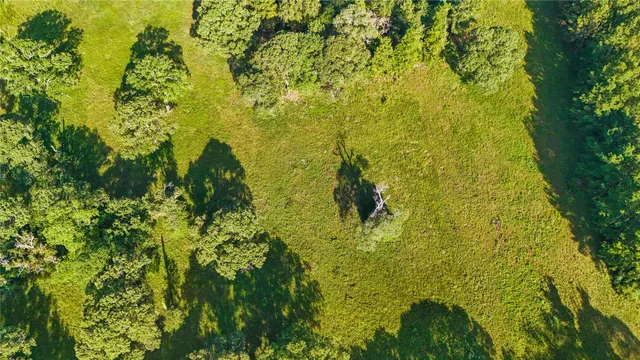 a view of a big yard with large trees
