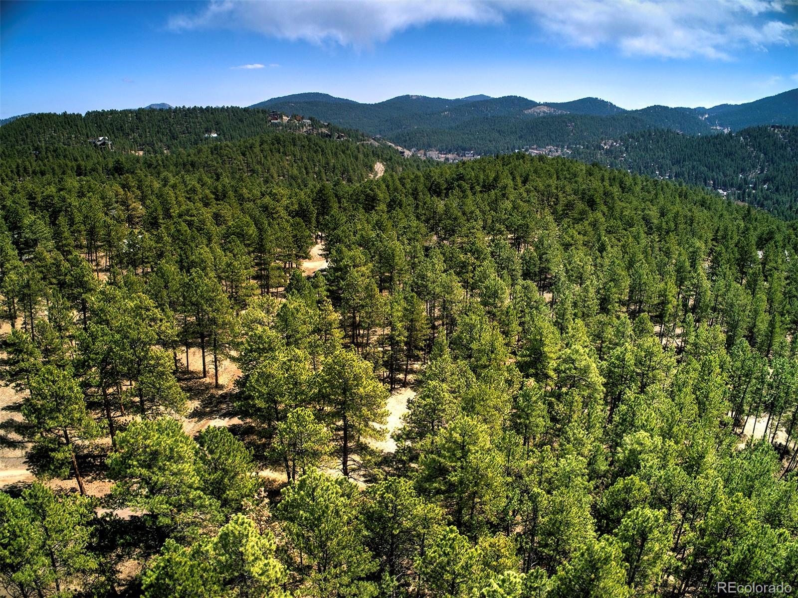 27554 Pine Valley Drive Evergreen, CO 80439 - Photo 11 of 26 Gallery Image 11