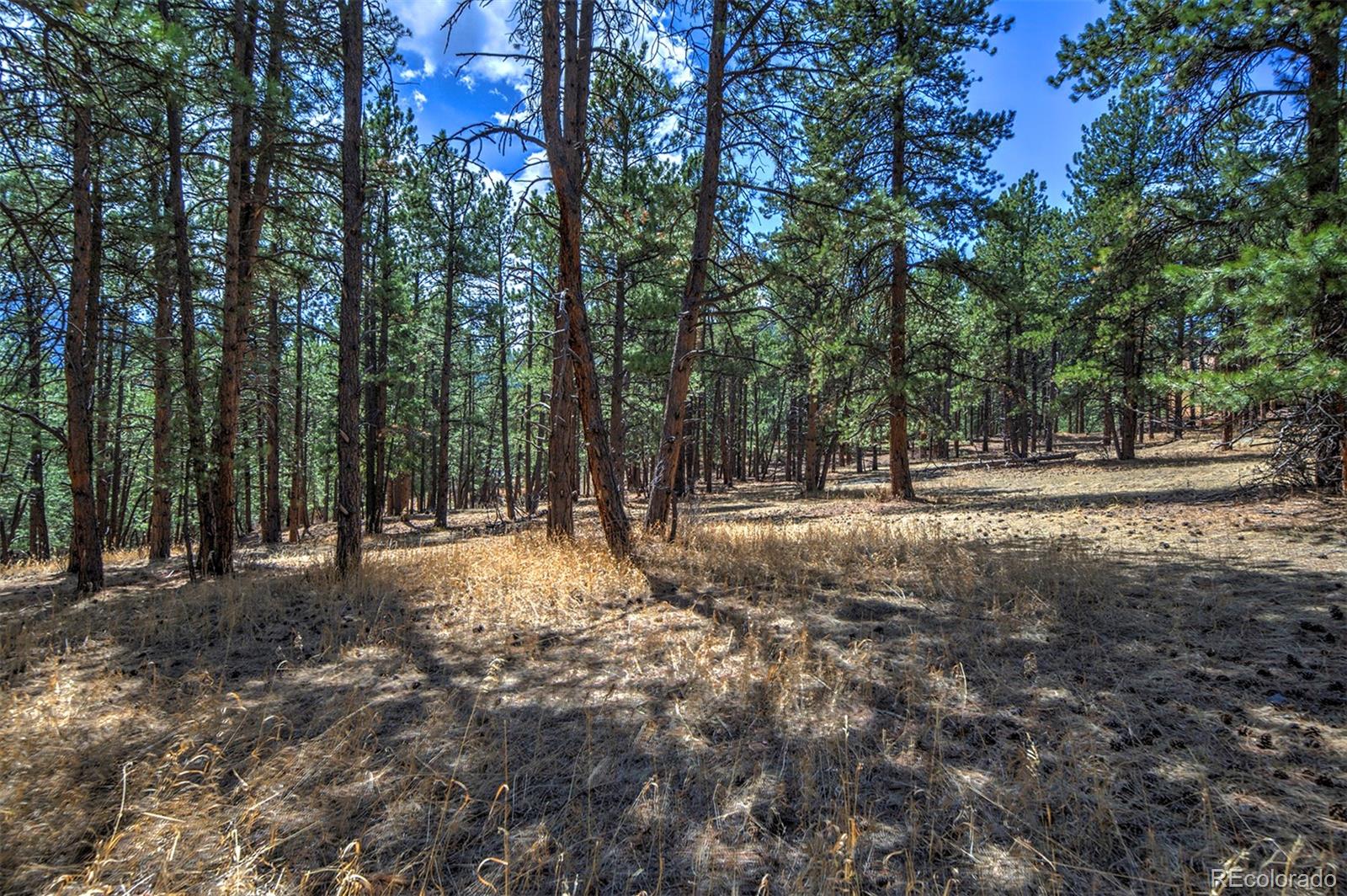 27554 Pine Valley Drive Evergreen, CO 80439 - Photo 12 of 26 Gallery Image 12