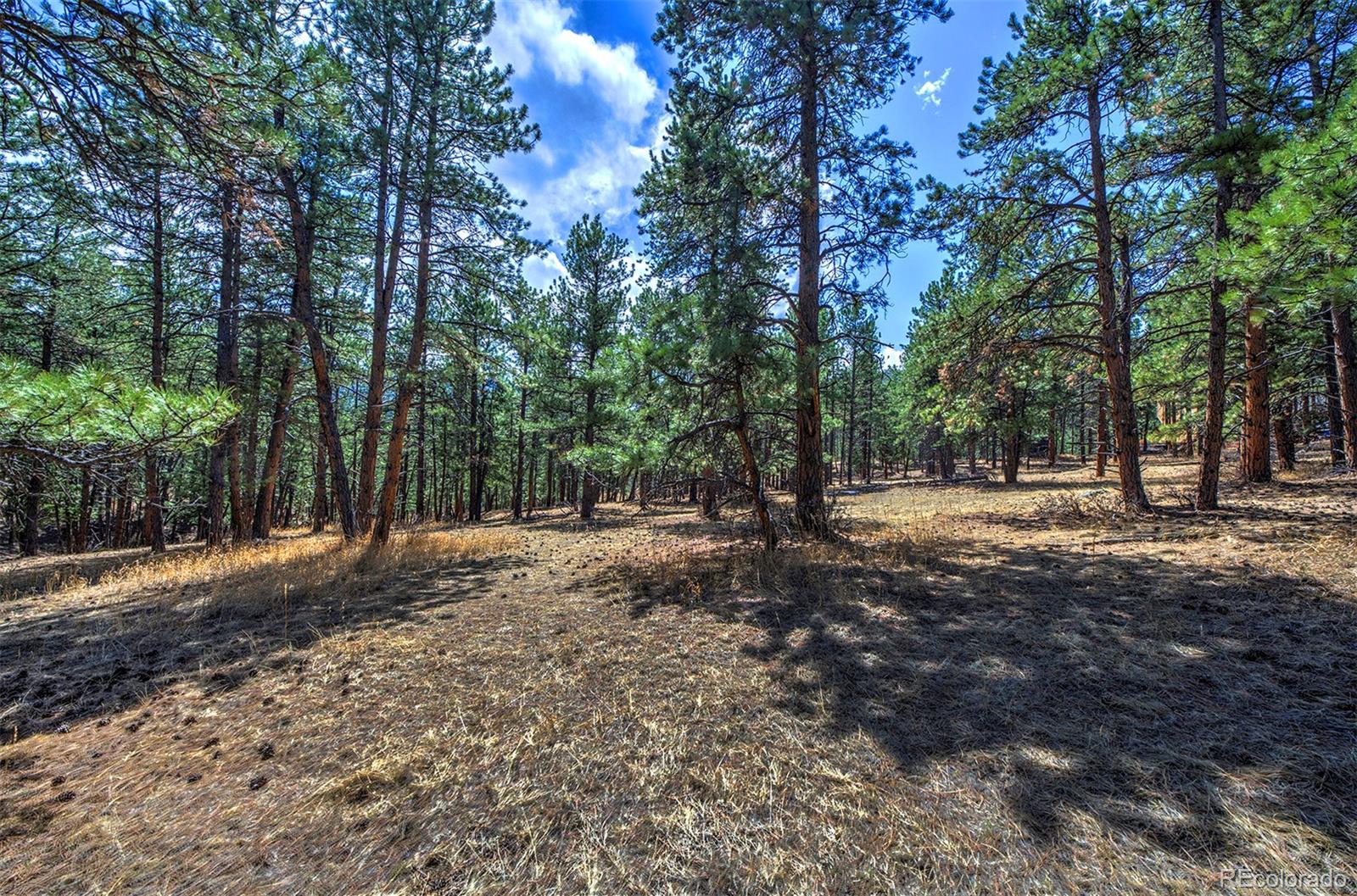 27554 Pine Valley Drive Evergreen, CO 80439 - Photo 13 of 26 Gallery Image 13