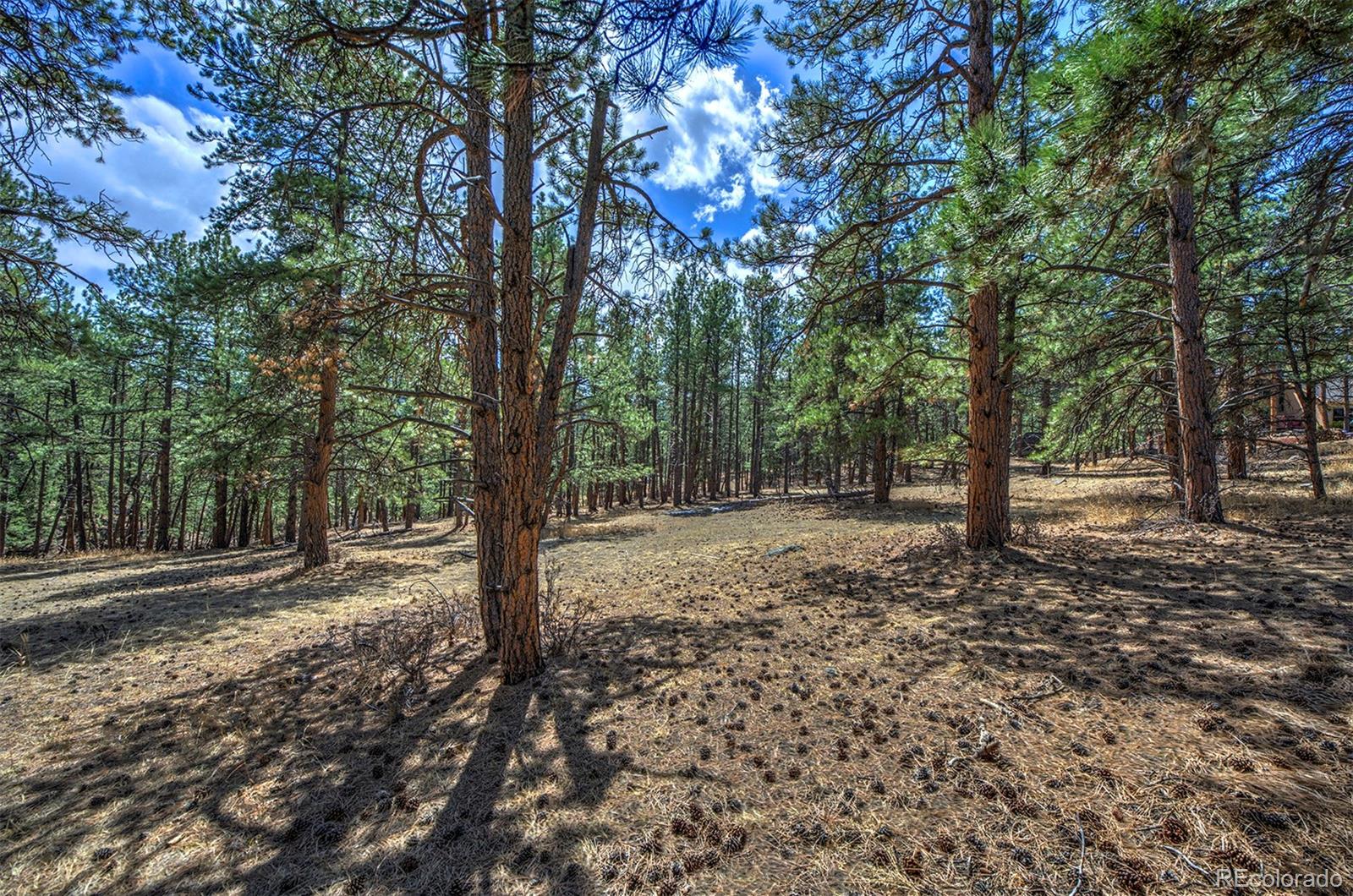 27554 Pine Valley Drive Evergreen, CO 80439 - Photo 15 of 26 Gallery Image 15
