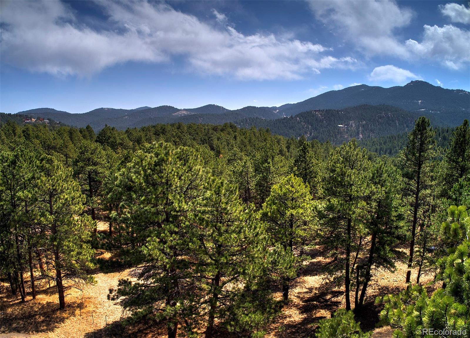 27554 Pine Valley Drive Evergreen, CO 80439 - Photo 16 of 26 Gallery Image 16