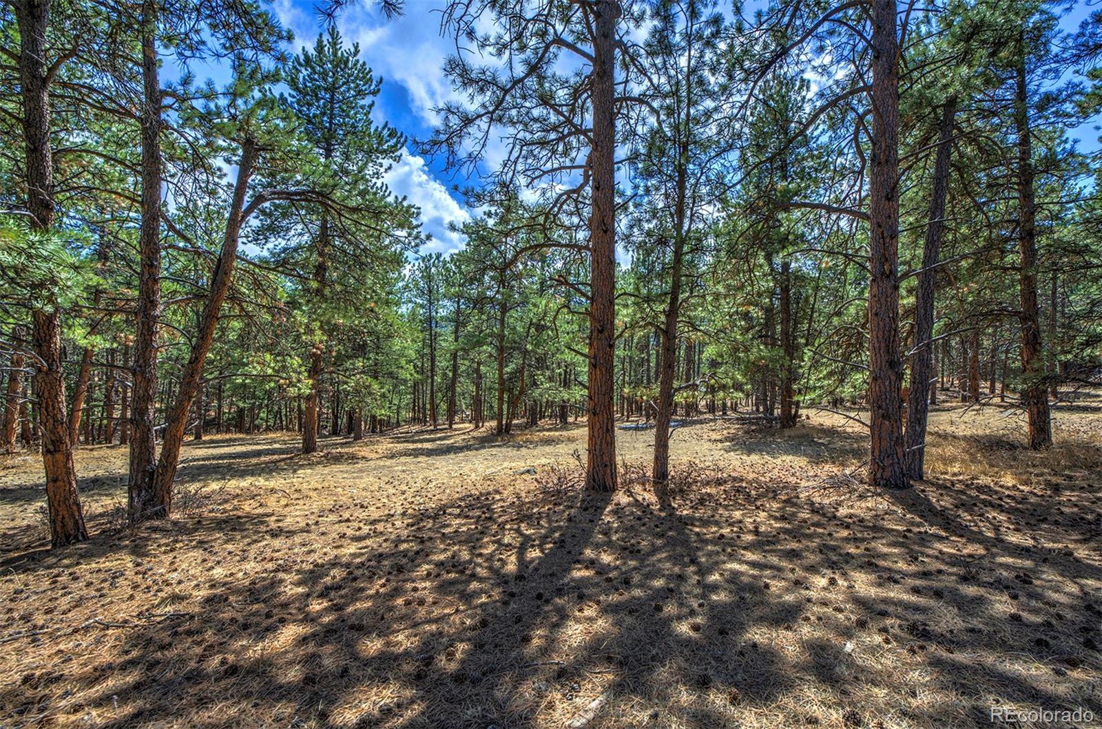 27554 Pine Valley Drive Evergreen, CO 80439 - Photo 18 of 26 Gallery Image 18