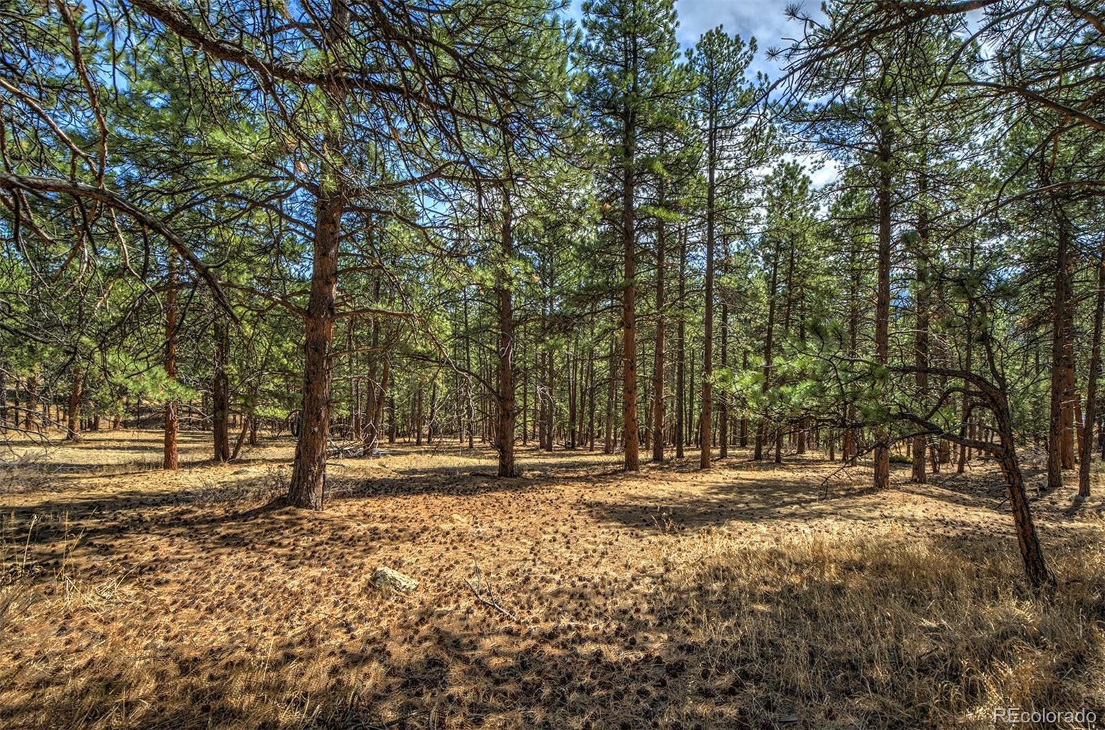 27554 Pine Valley Drive Evergreen, CO 80439 - Photo 20 of 26 Gallery Image 20