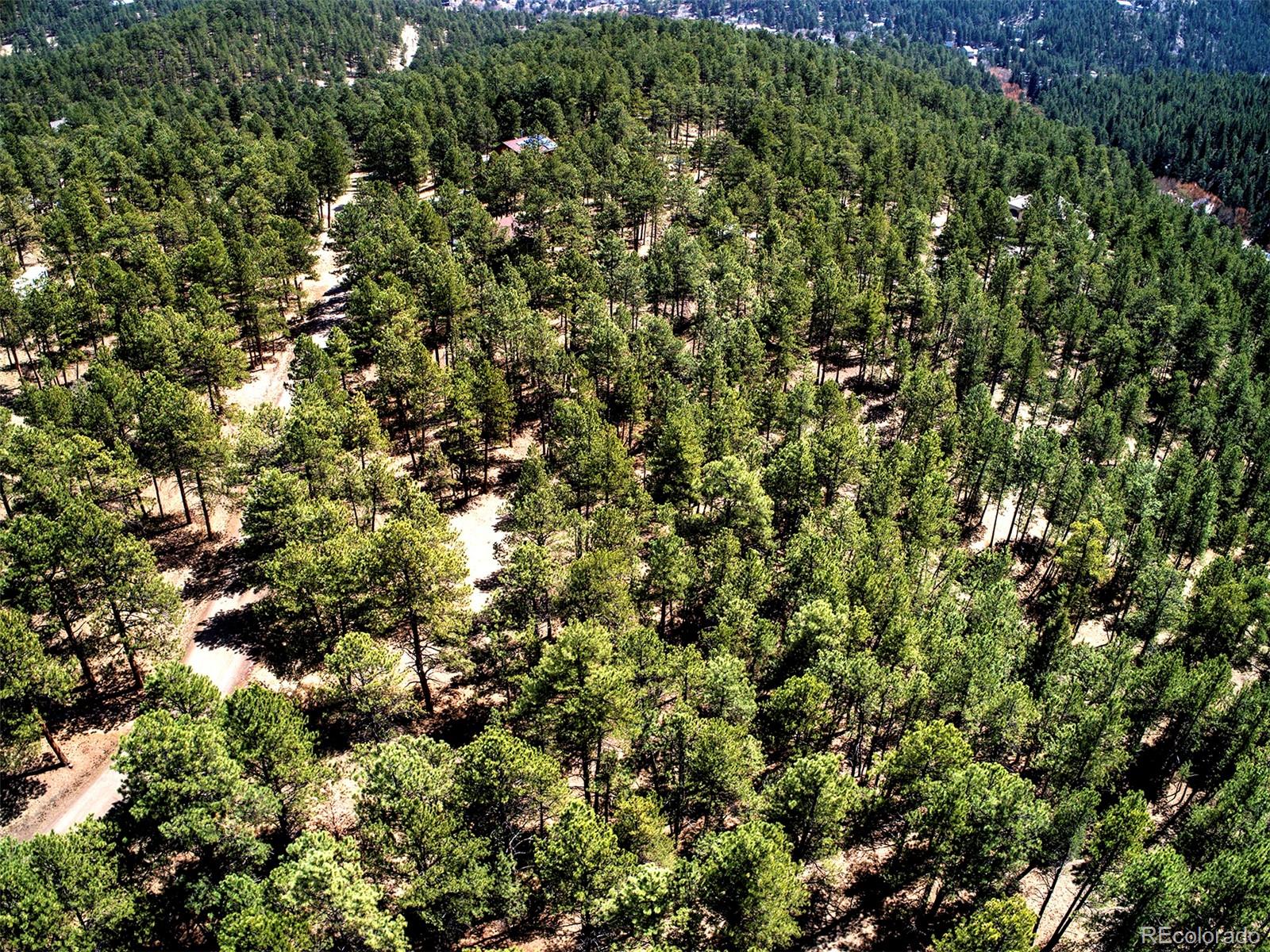 27554 Pine Valley Drive Evergreen, CO 80439 - Photo 2 of 26 Gallery Image 2