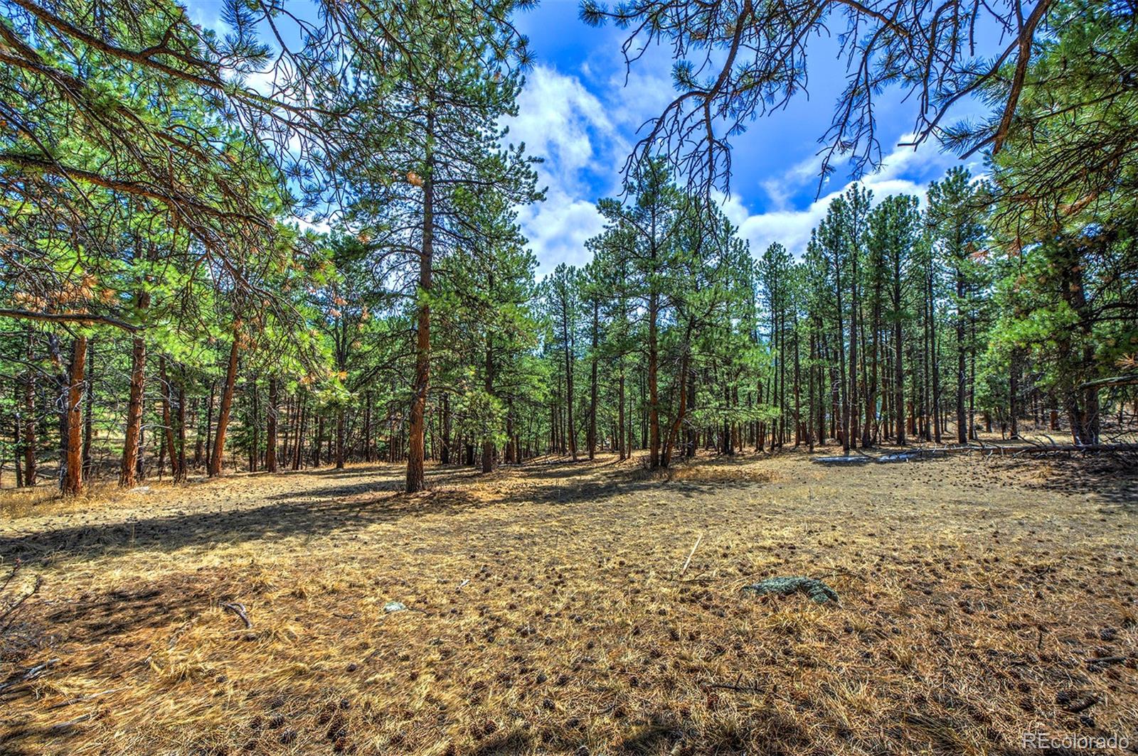 27554 Pine Valley Drive Evergreen, CO 80439 - Photo 24 of 26 Gallery Image 24