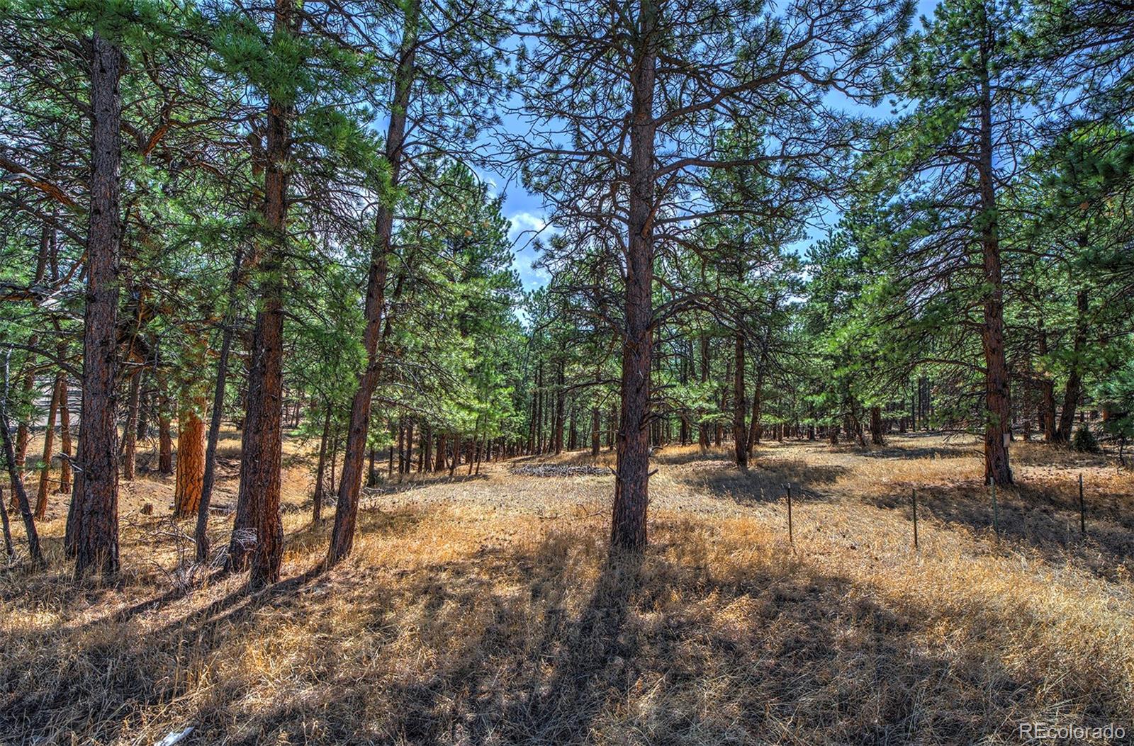 27554 Pine Valley Drive Evergreen, CO 80439 - Photo 26 of 26 Gallery Image 26