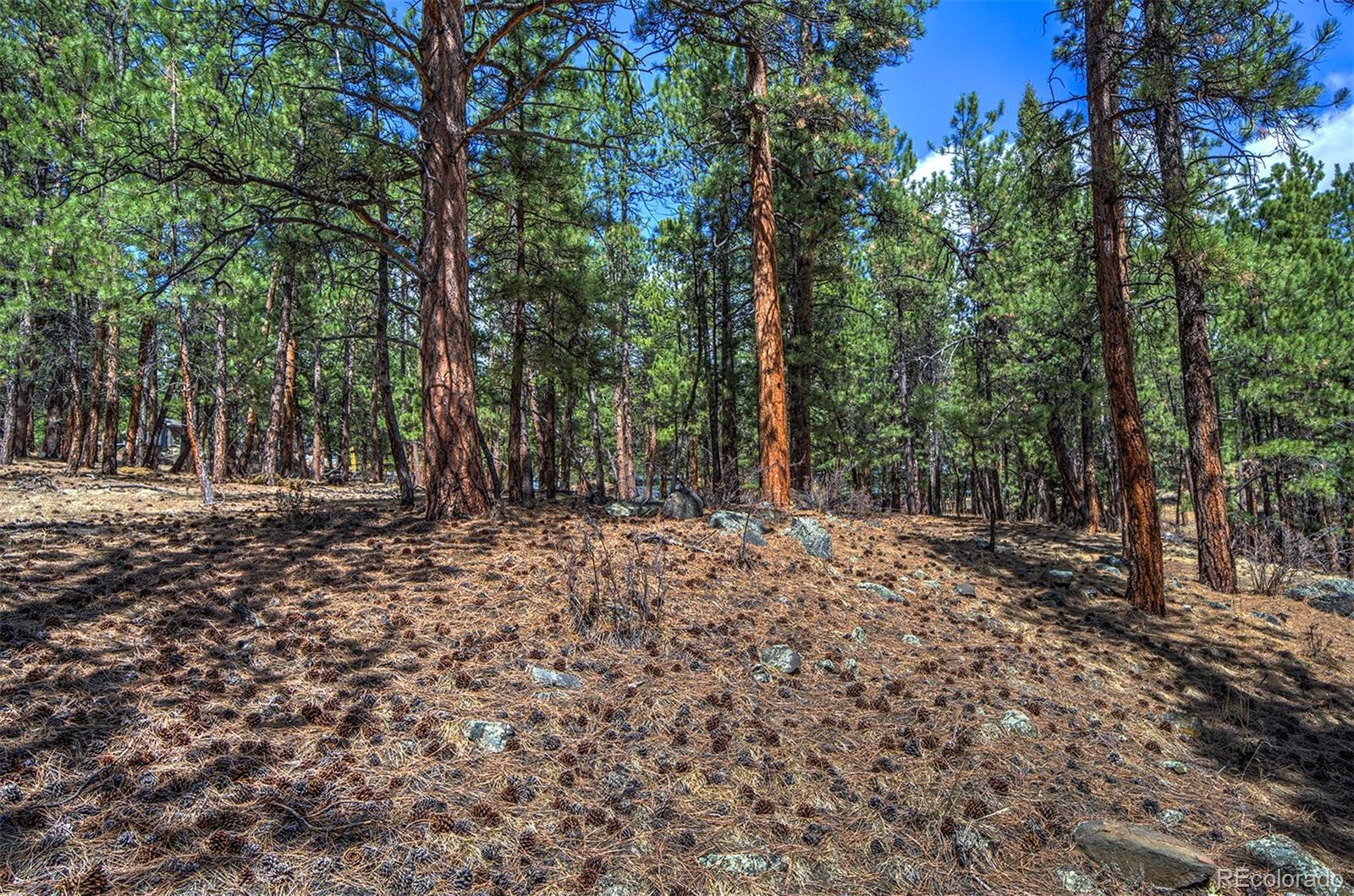 27554 Pine Valley Drive Evergreen, CO 80439 - Photo 4 of 26 Gallery Image 4