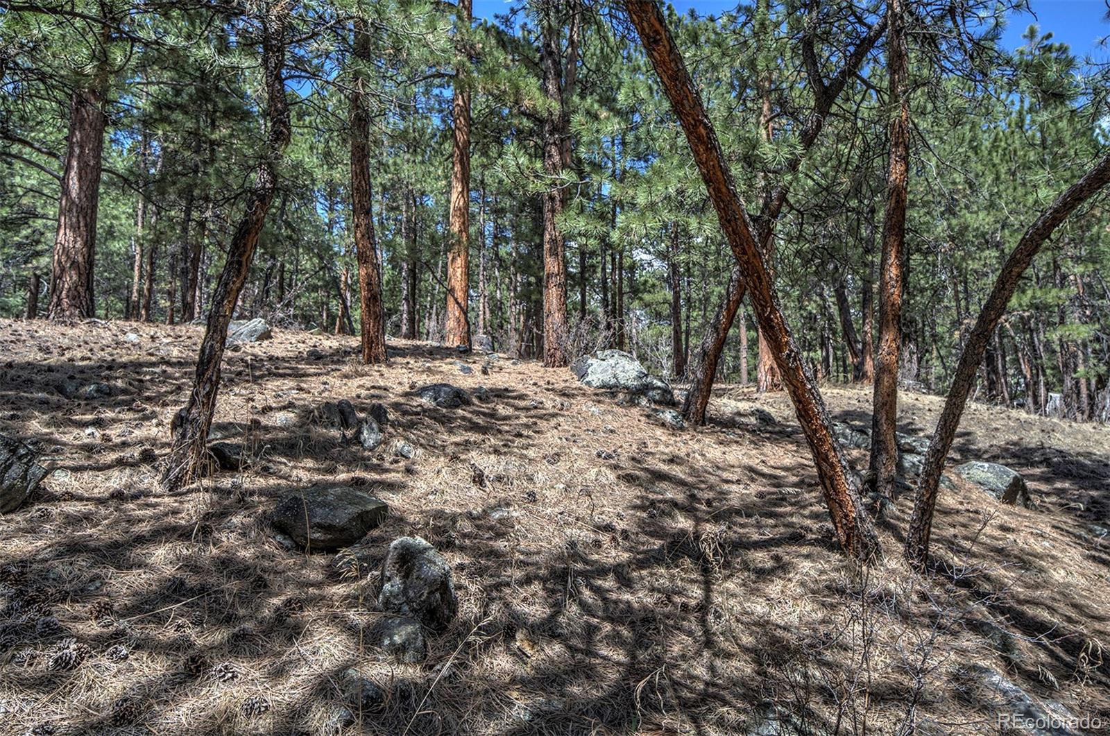 27554 Pine Valley Drive Evergreen, CO 80439 - Photo 6 of 26 Gallery Image 6
