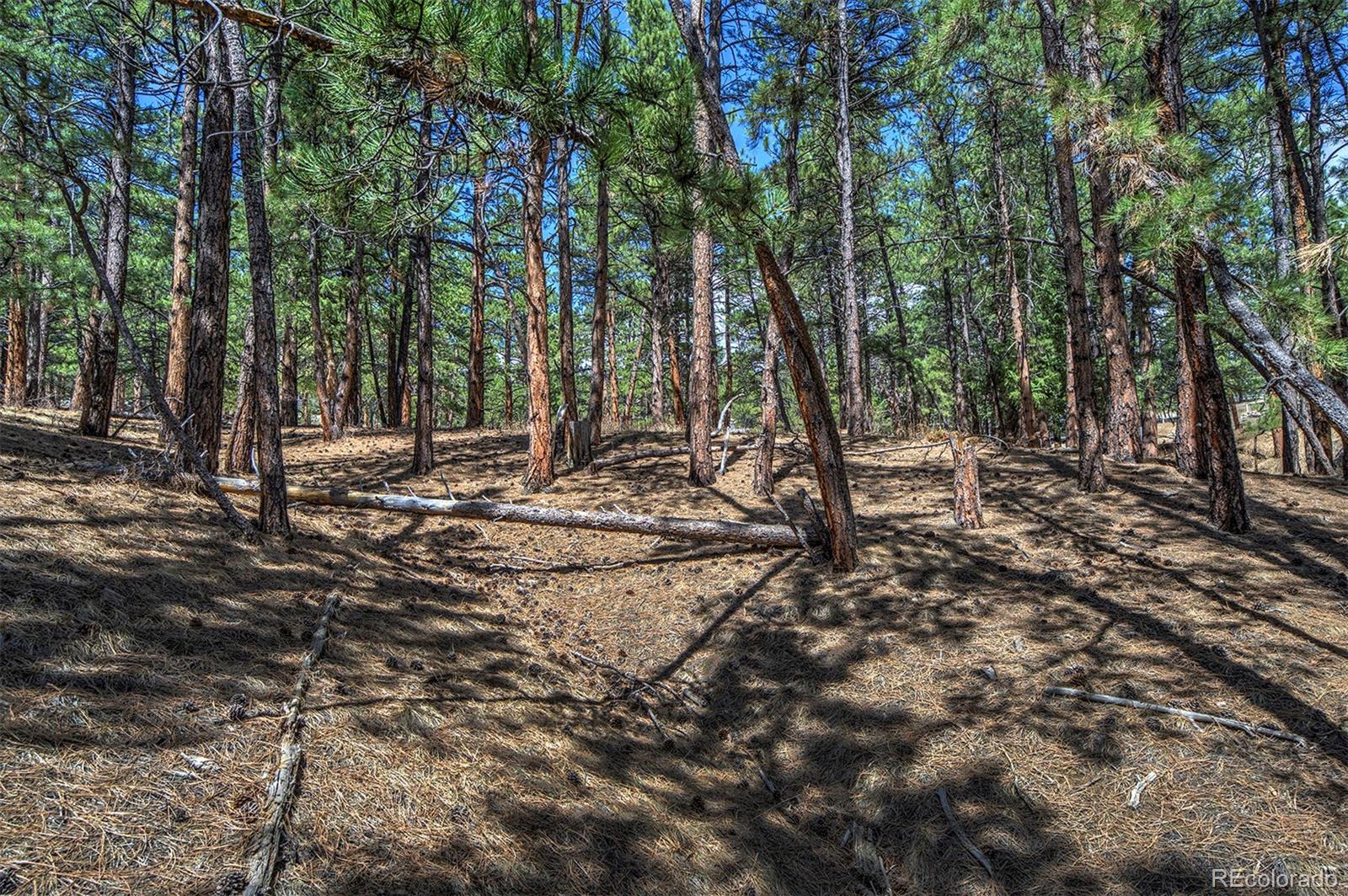 27554 Pine Valley Drive Evergreen, CO 80439 - Photo 7 of 26 Gallery Image 7