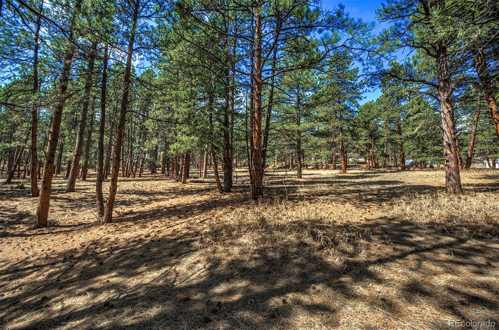 27554 Pine Valley Drive Evergreen, CO 80439 - Photo 8 of 26 Gallery Image 8