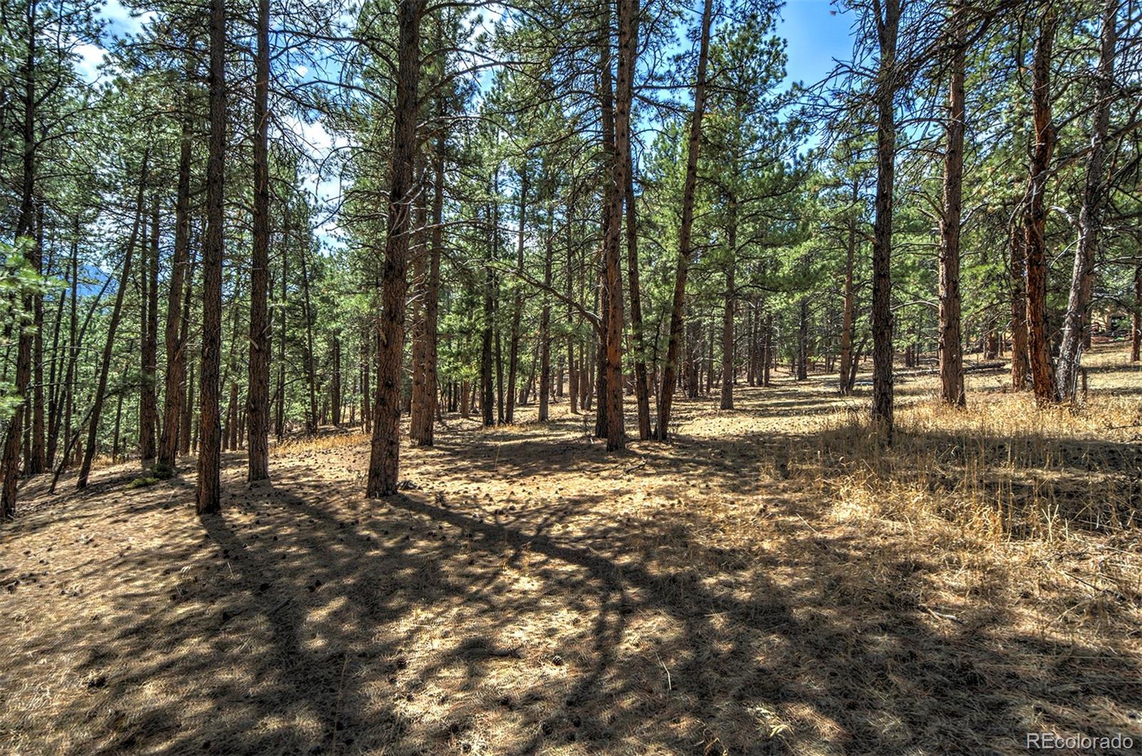 27554 Pine Valley Drive Evergreen, CO 80439 - Photo 9 of 26 Gallery Image 9