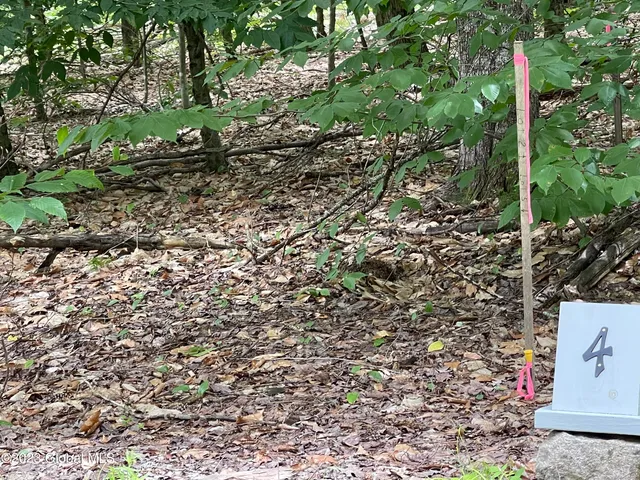 $96,000 | 4 Adk Acres Prvt Road, Unit LOT 5), Northville, NY 12134