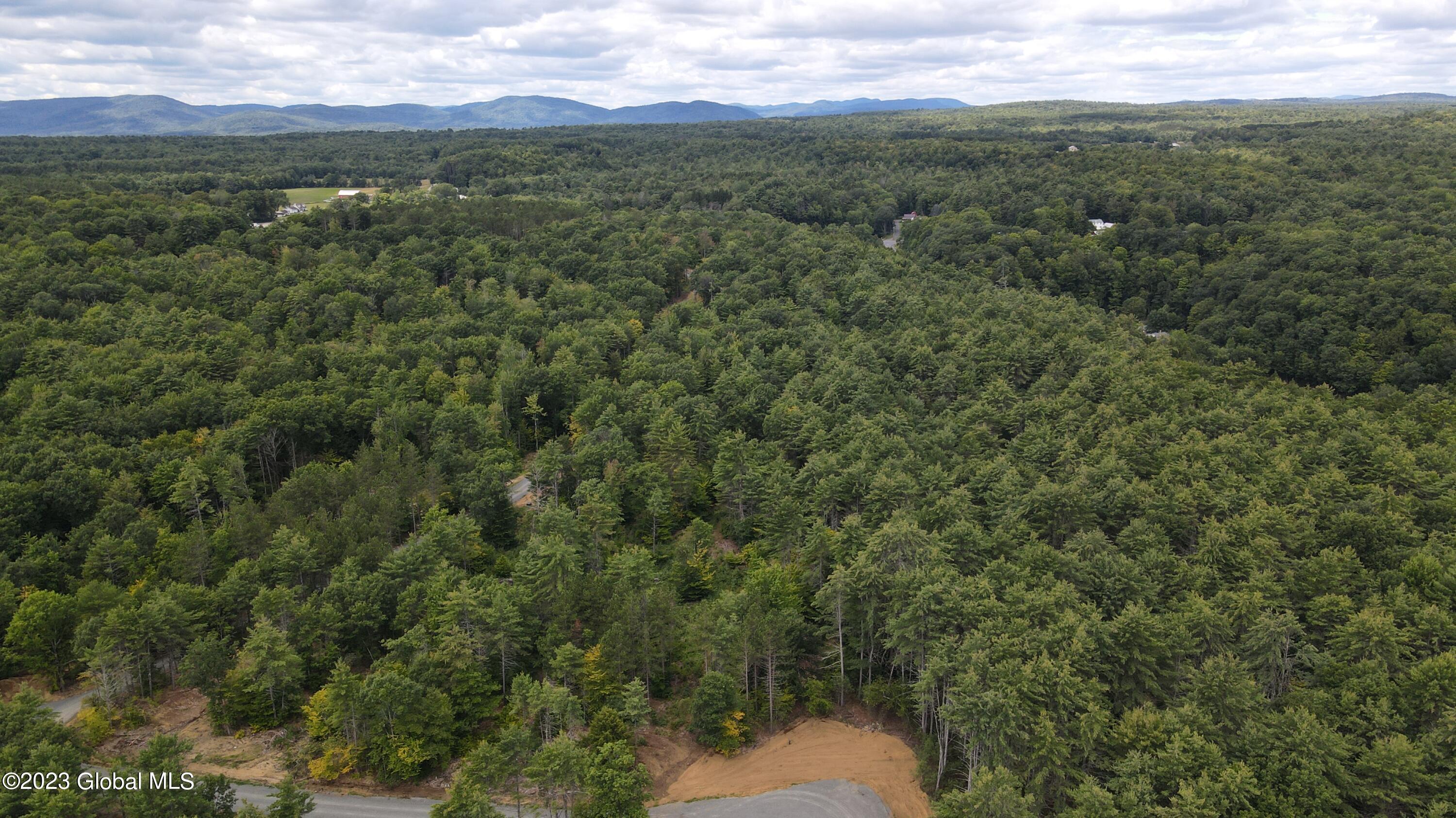 4 Adk Acres Prvt Road, Unit LOT 5) Northville, NY 12134 - Photo 6 of 9 looking west - Copy - Copy