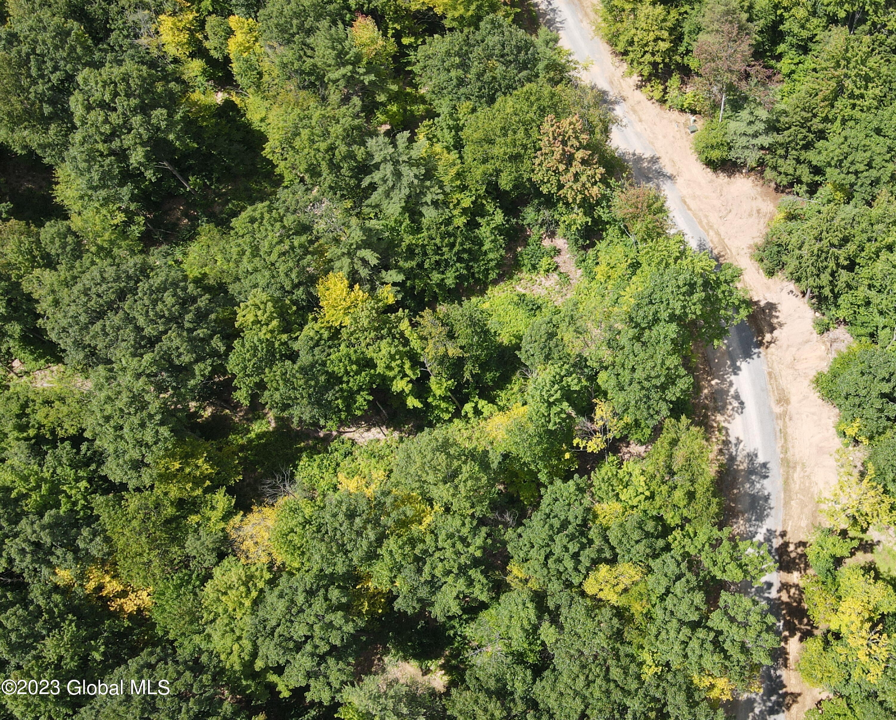 4 Adk Acres Prvt Road, Unit LOT 5) Northville, NY 12134 - Photo 7 of 9 lot 4 #2