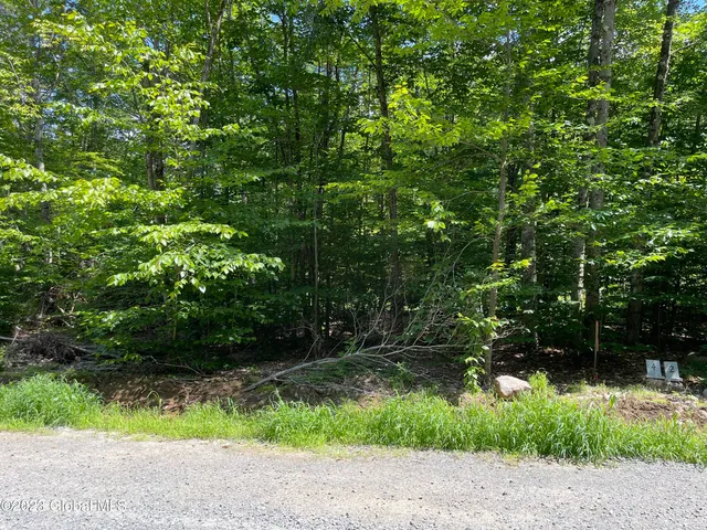 $96,000 | 4 Adk Acres Prvt Road, Unit LOT 5), Northville, NY 12134