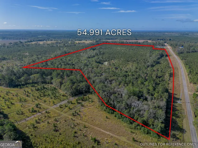 $285,000 | Tract 7 Kinnett Road, Jacksonville, GA 31544