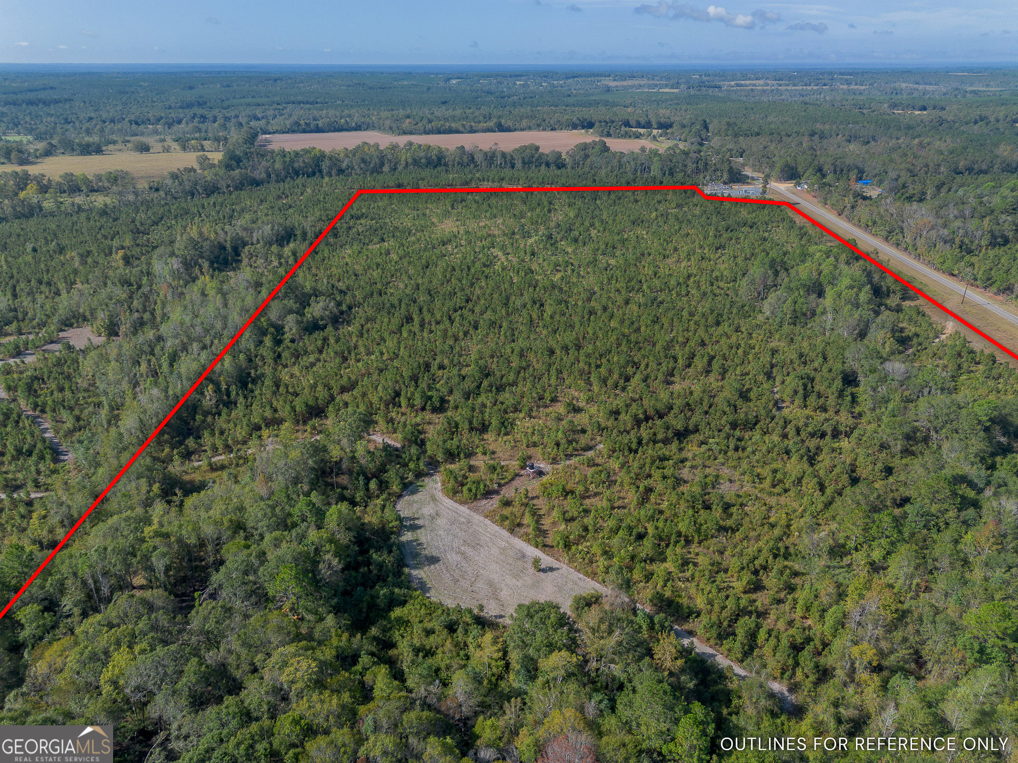 Tract 7 Kinnett Road Jacksonville, GA 31544 - Photo 2 of 10